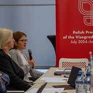 Warsztat regulacyjny dla ekspertów z krajów V4 w ramach Polskiej Prezydencji w ...